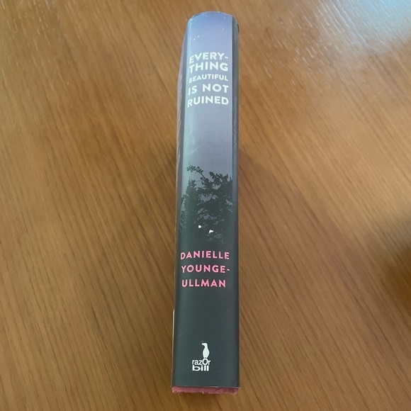 BOOK EVERYTHING BEAUTIFUL IS NOT RUINED BY  DANIELLE YOUNGE-ULLMAN - Picture 3 of 10
